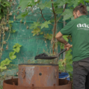 Proyecto Vercochar en La Palma